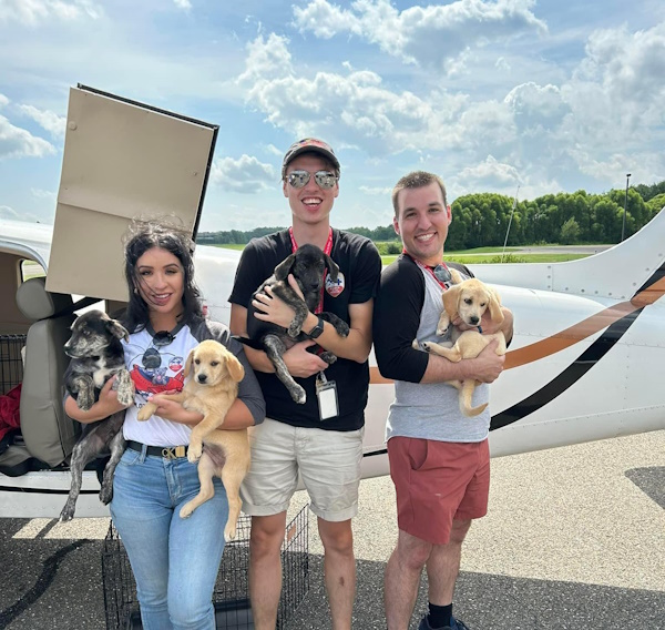 three people holding 4 dogs in front of plane ready for transport