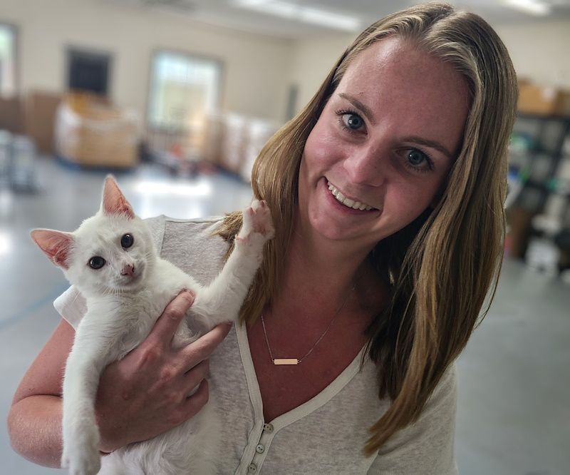 woman holding white kitten