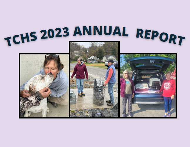 Cover of TCHS 2023 annual report
