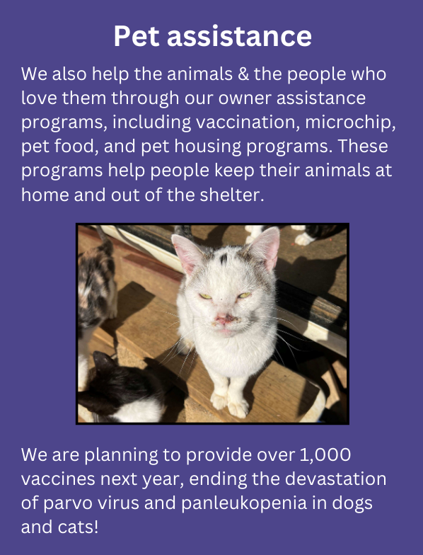 description of pet assistance achievements of 2024