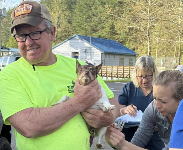 man holding small dog receiving care from a veterinarian